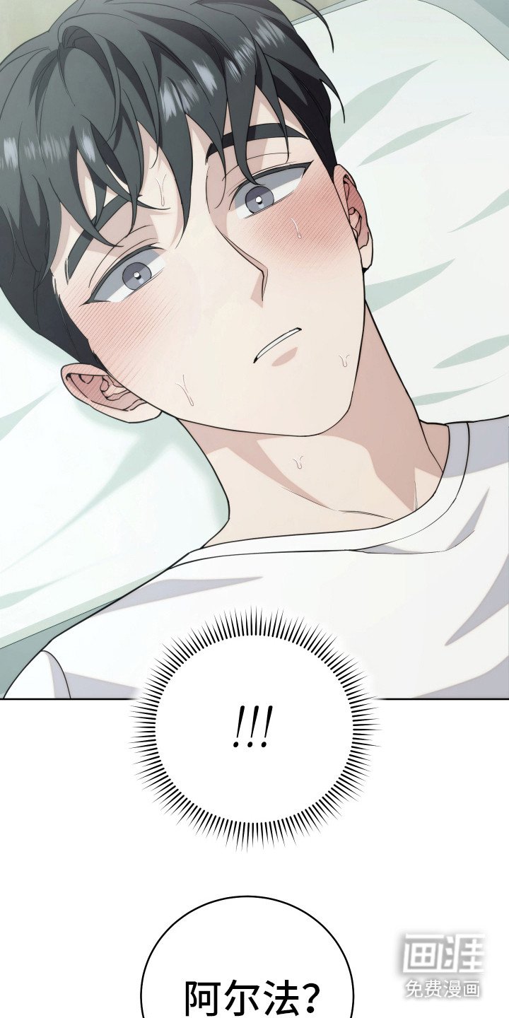 第29章：分化