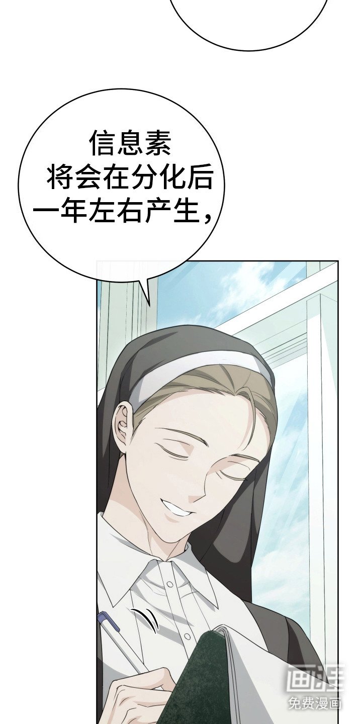 第29章：分化