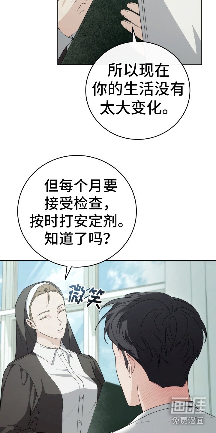 第29章：分化