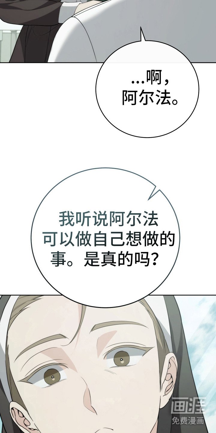 第29章：分化