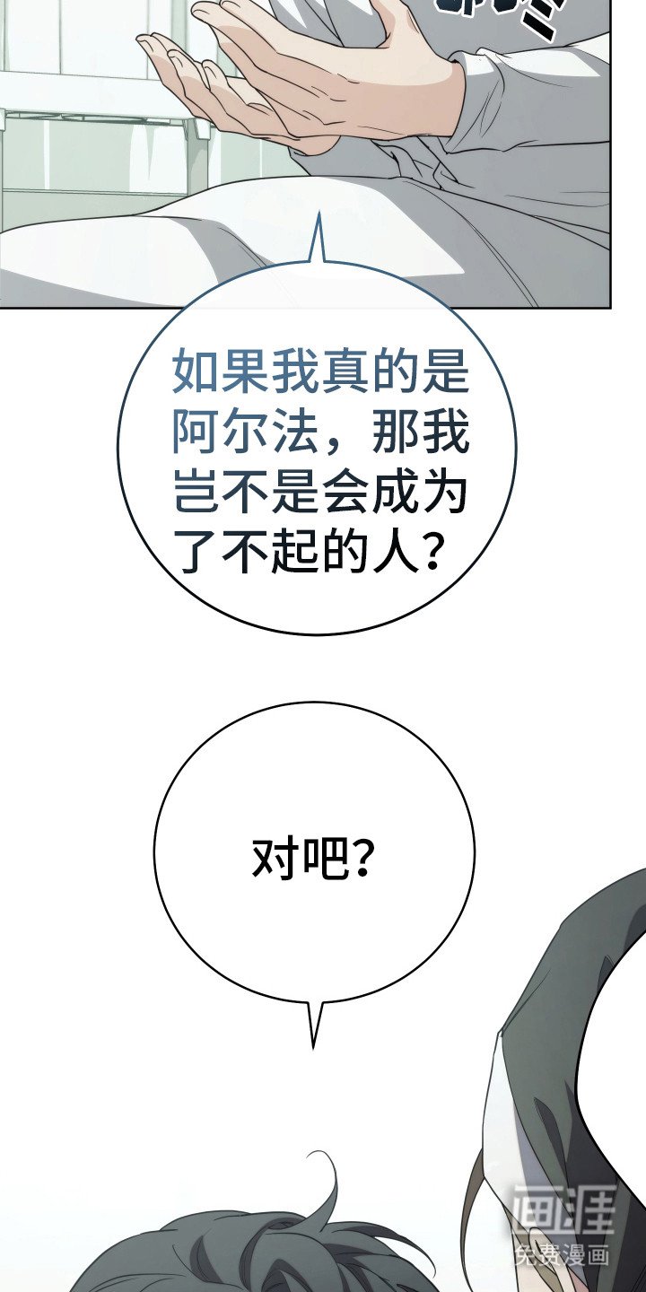 第29章：分化