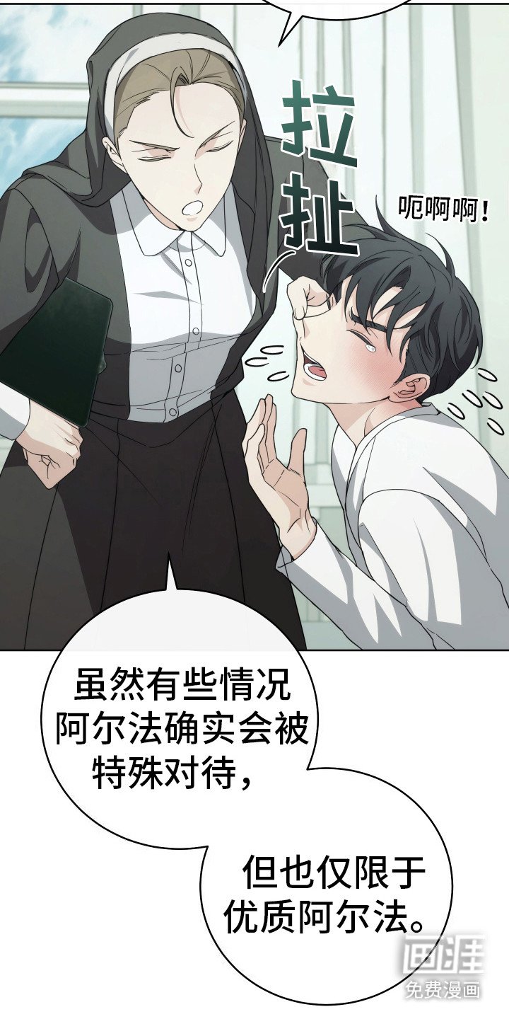 第29章：分化