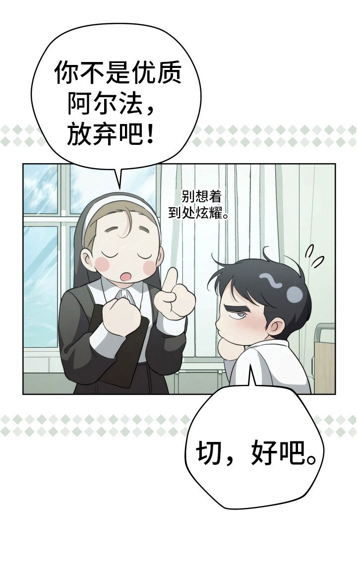 第29章：分化