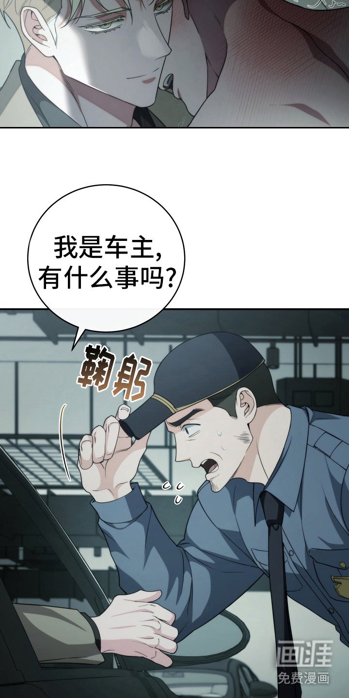 第41章：被看见了