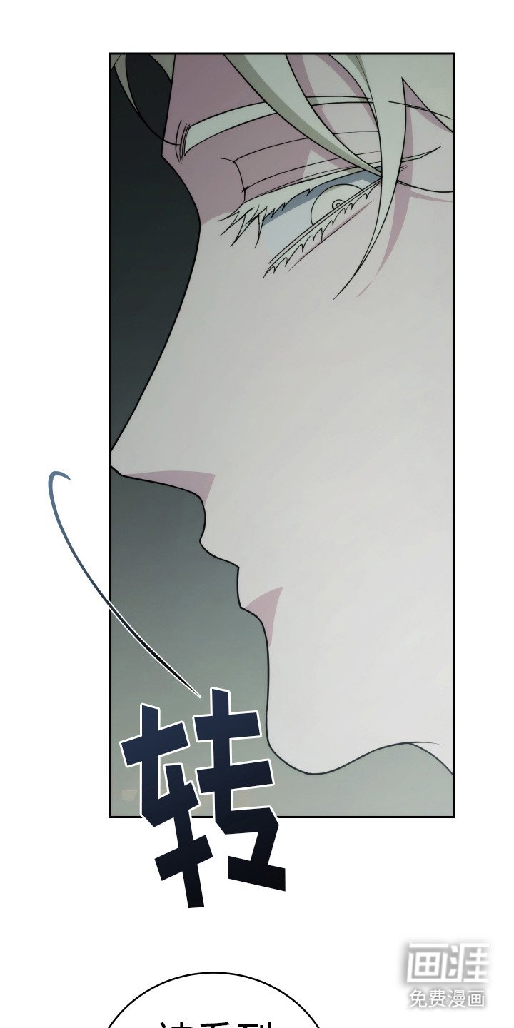 第41章：被看见了