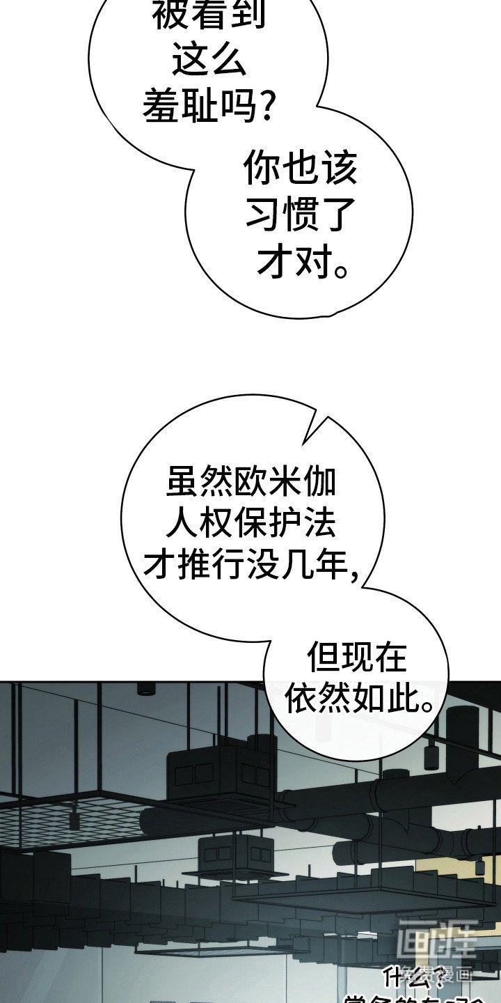 第41章：被看见了