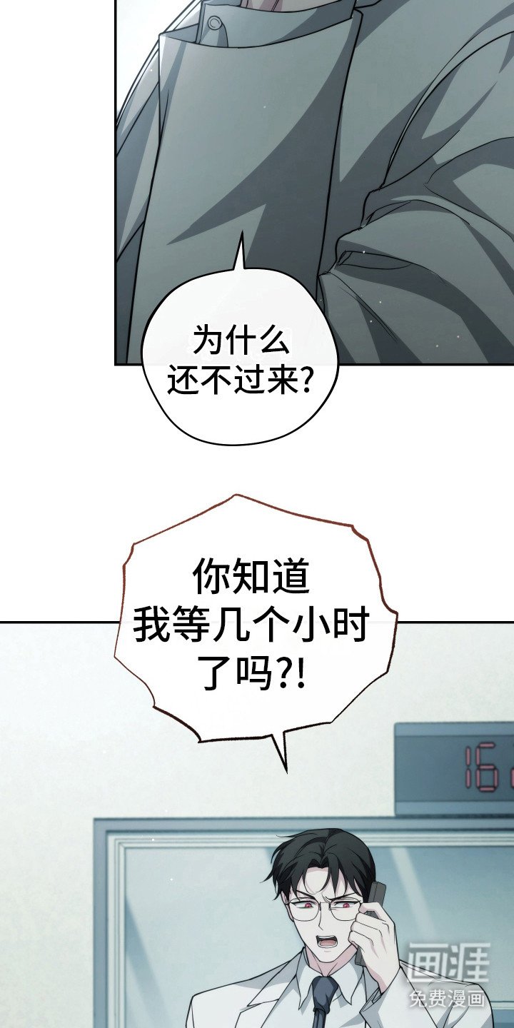 第41章：被看见了