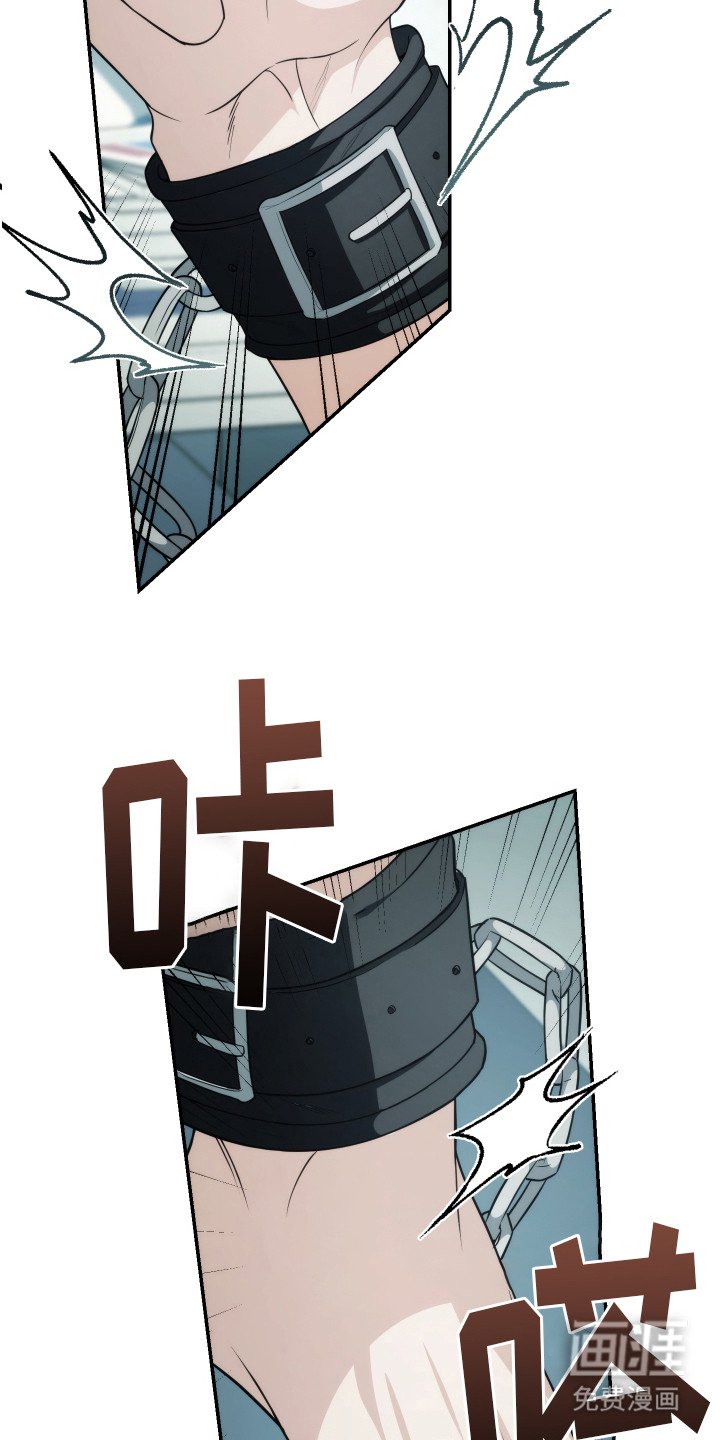 第43章：最后一项