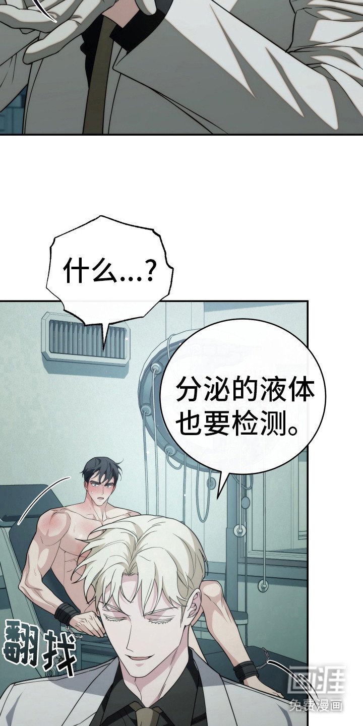 第43章：最后一项