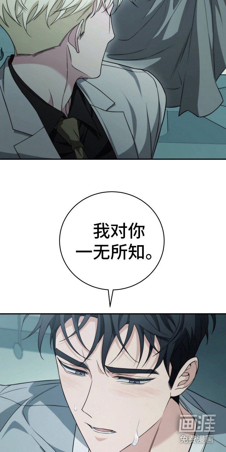第45章：太遗憾了