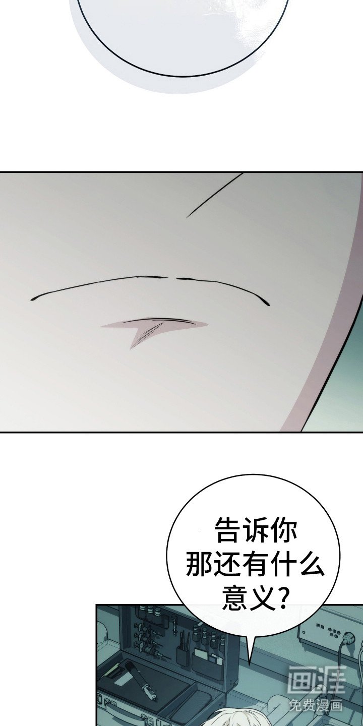 第45章：太遗憾了