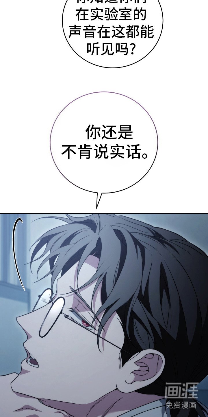 第45章：太遗憾了