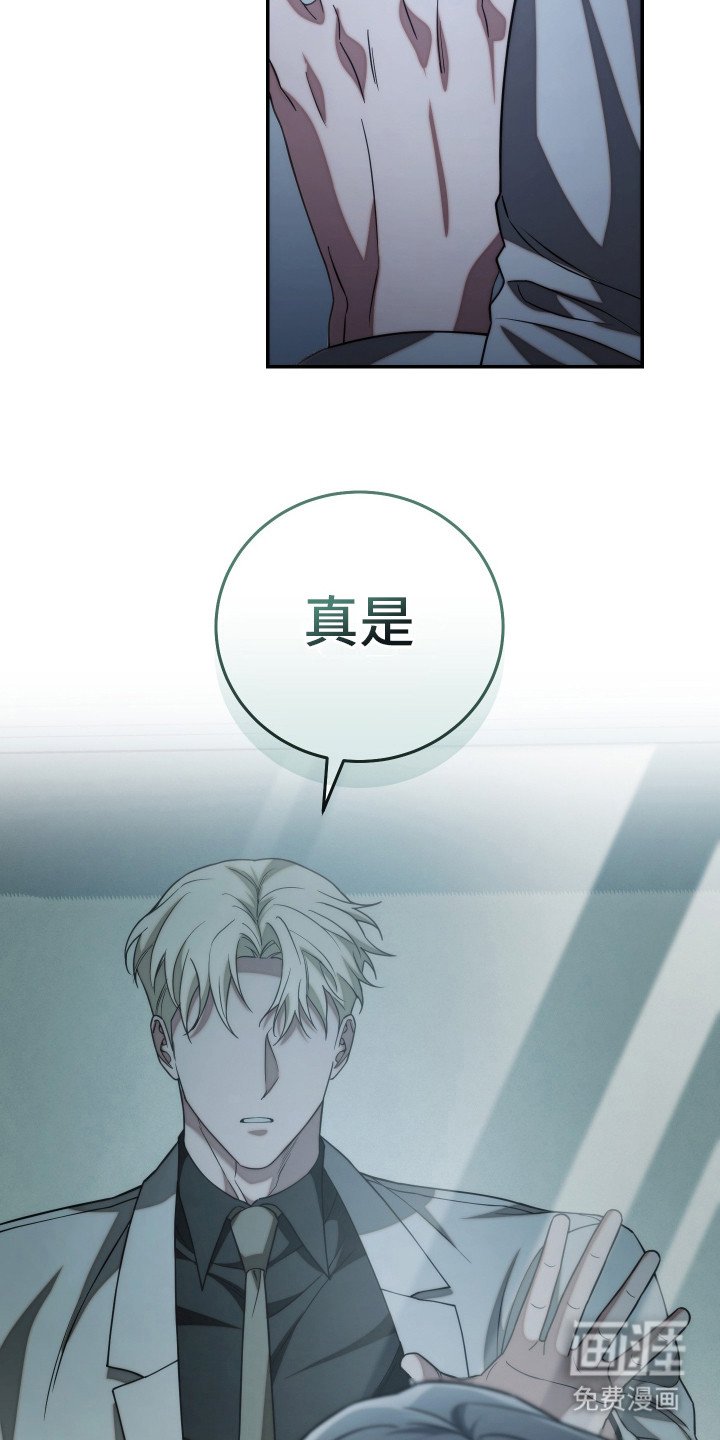第45章：太遗憾了