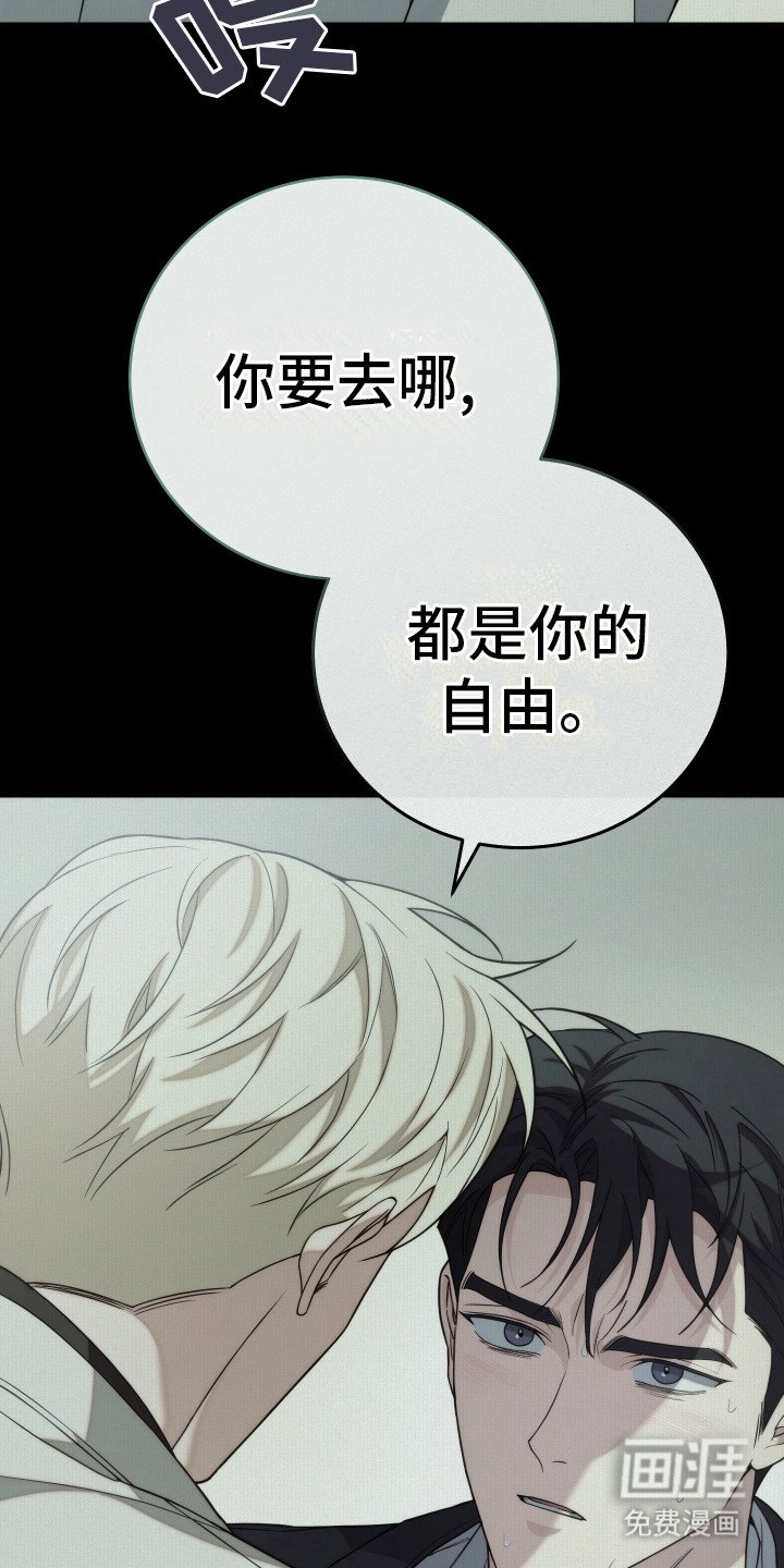 第46章：你的自由