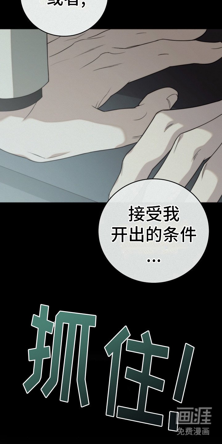 第46章：你的自由