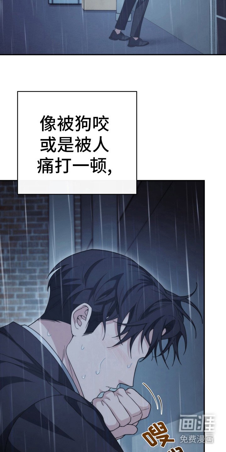 第47章：不会崩溃
