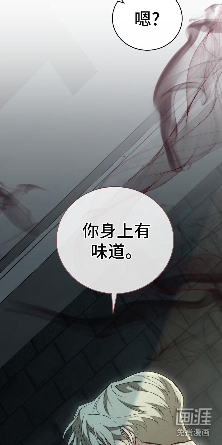 第5章：制药公司