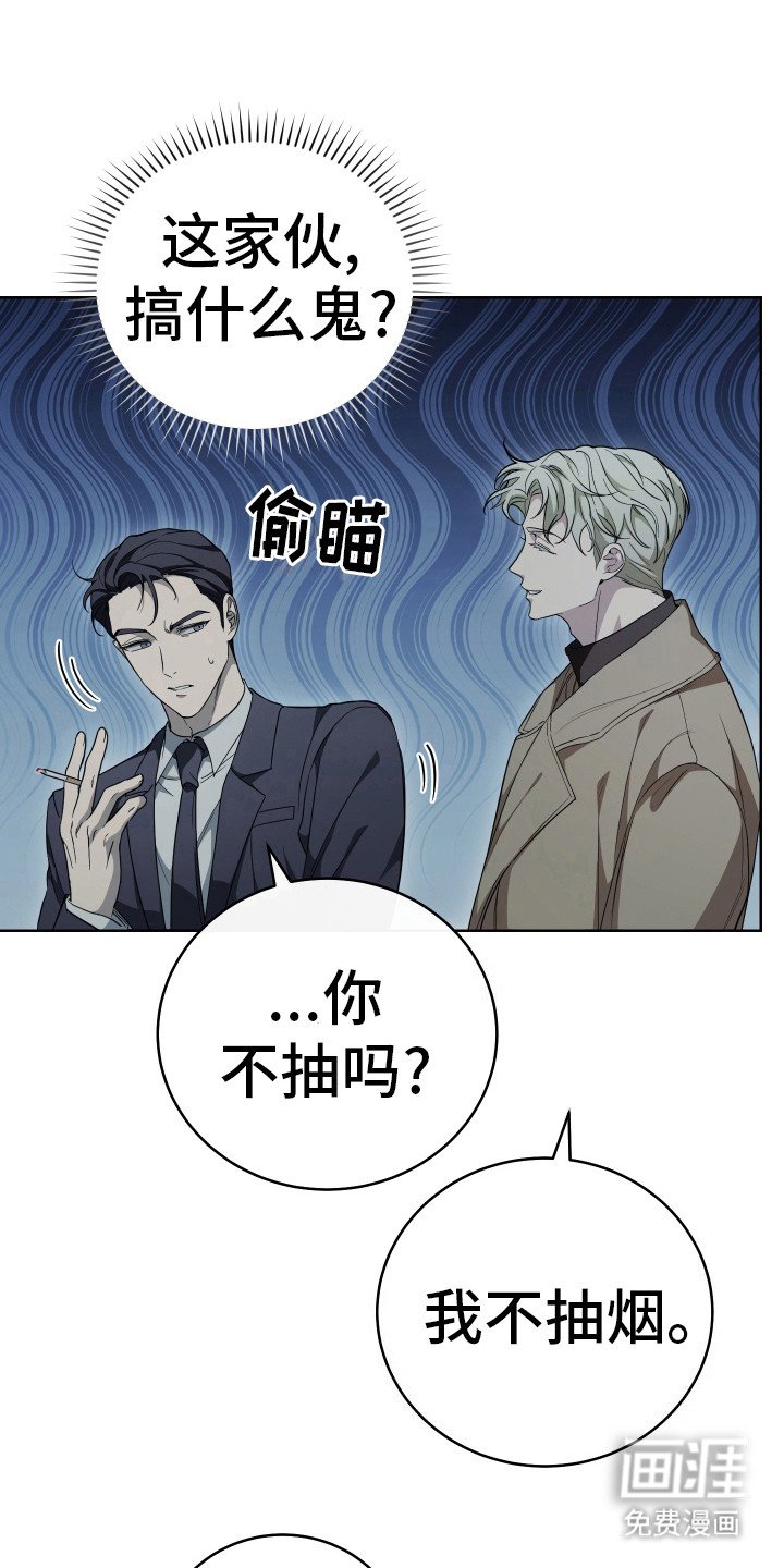 第5章：制药公司