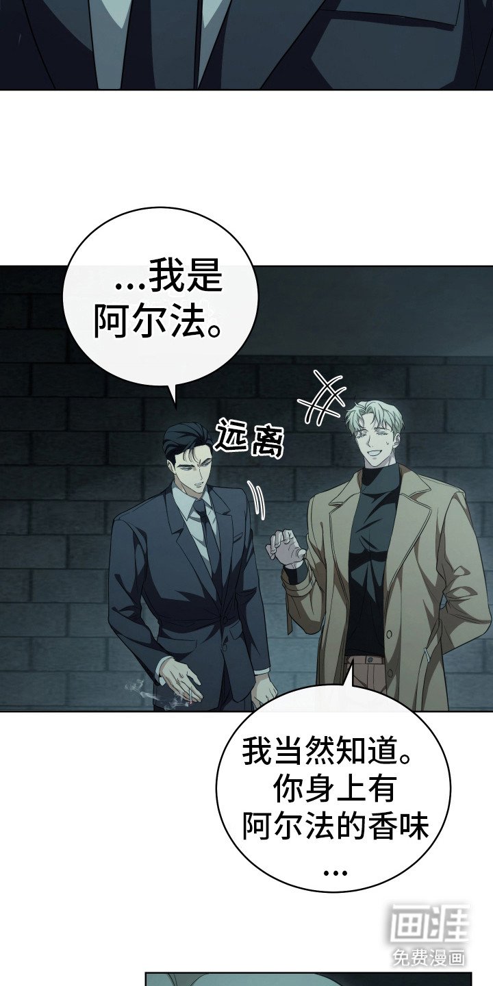 第6章：直觉