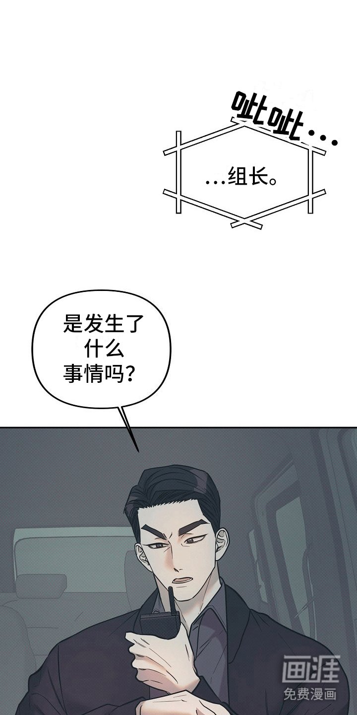 第13章：刺激
