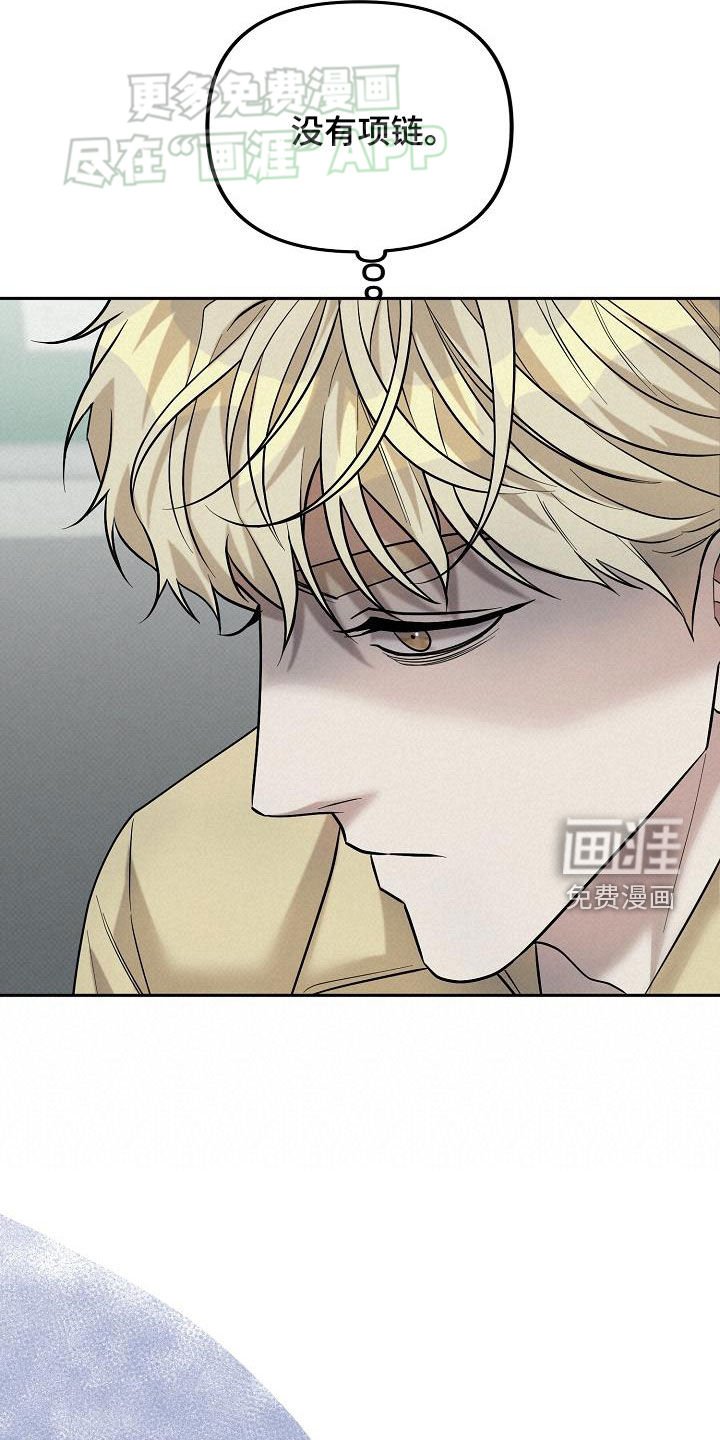 第20章：项链