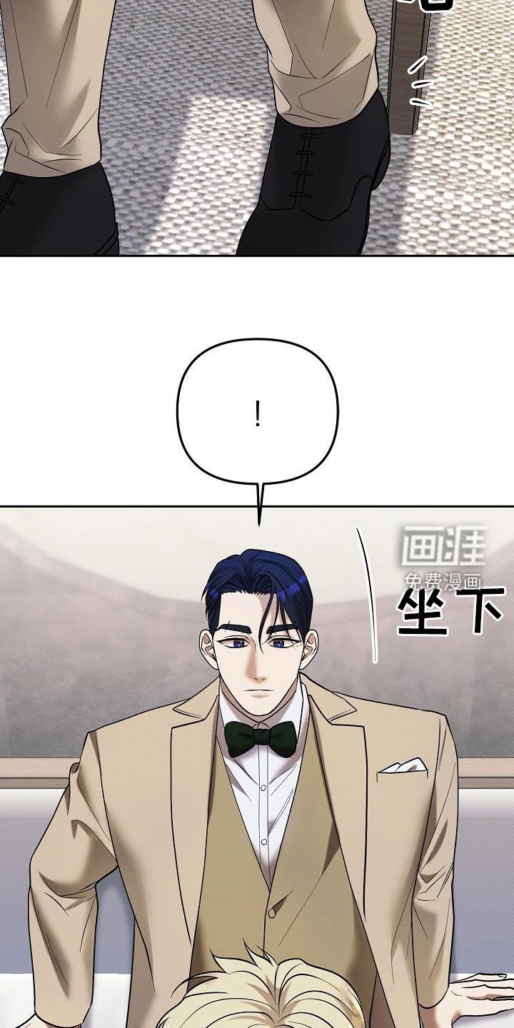 第43章：拍卖开始