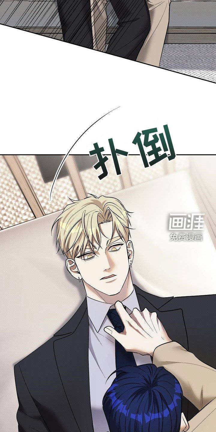 第43章：拍卖开始