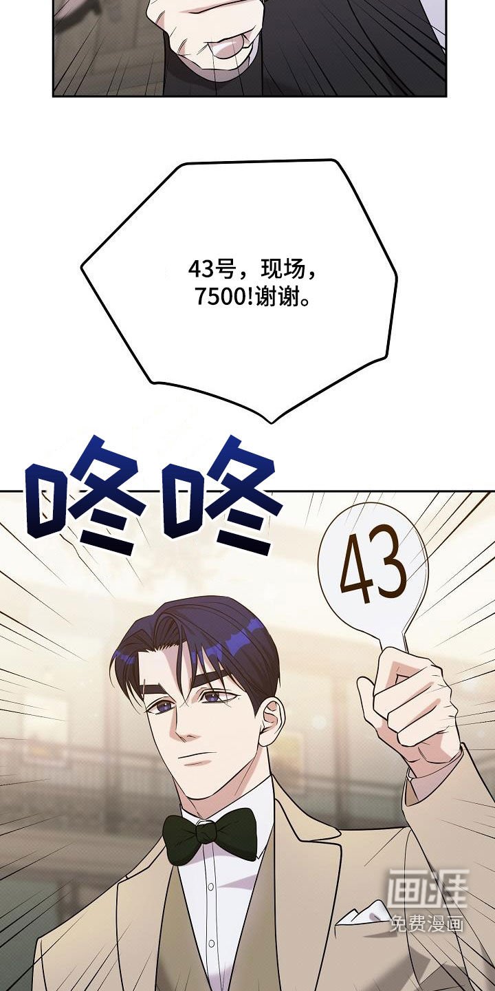 第44章：竞拍