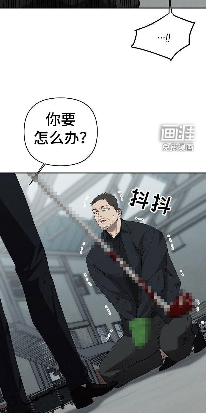 第54章：喜欢平静