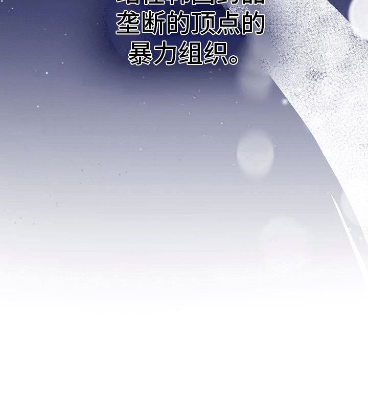 第8章：卧底行动