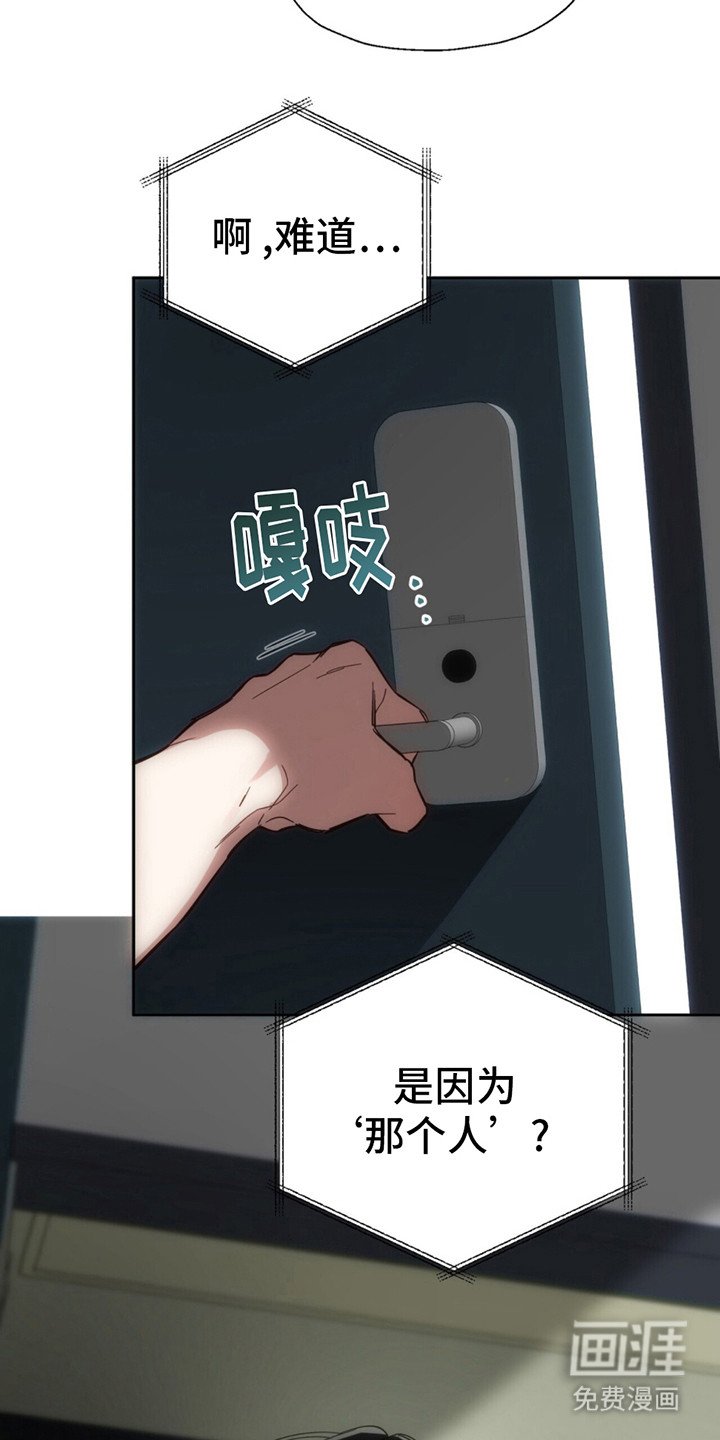 第1章：黑手党老大