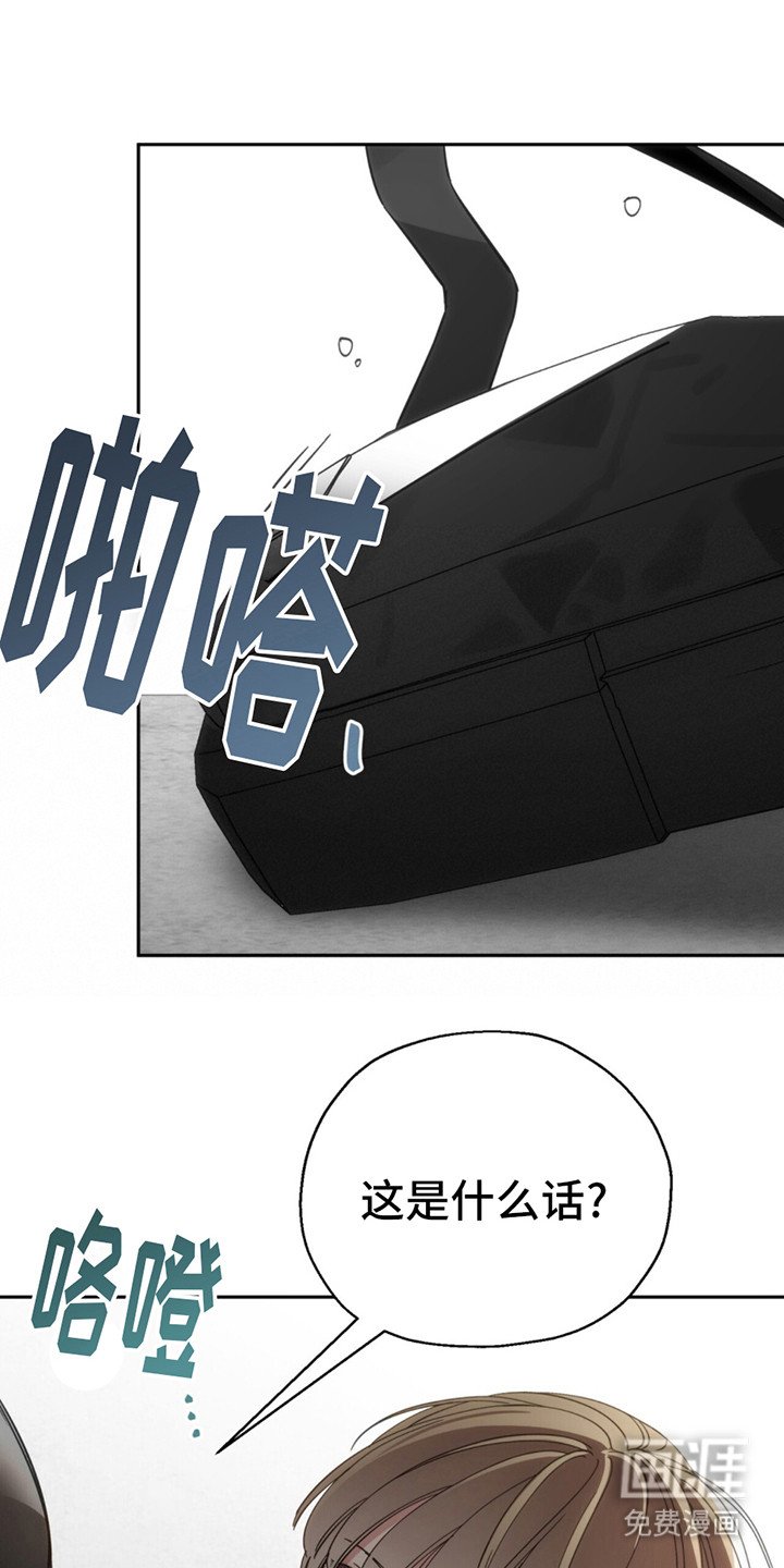 第1章：黑手党老大