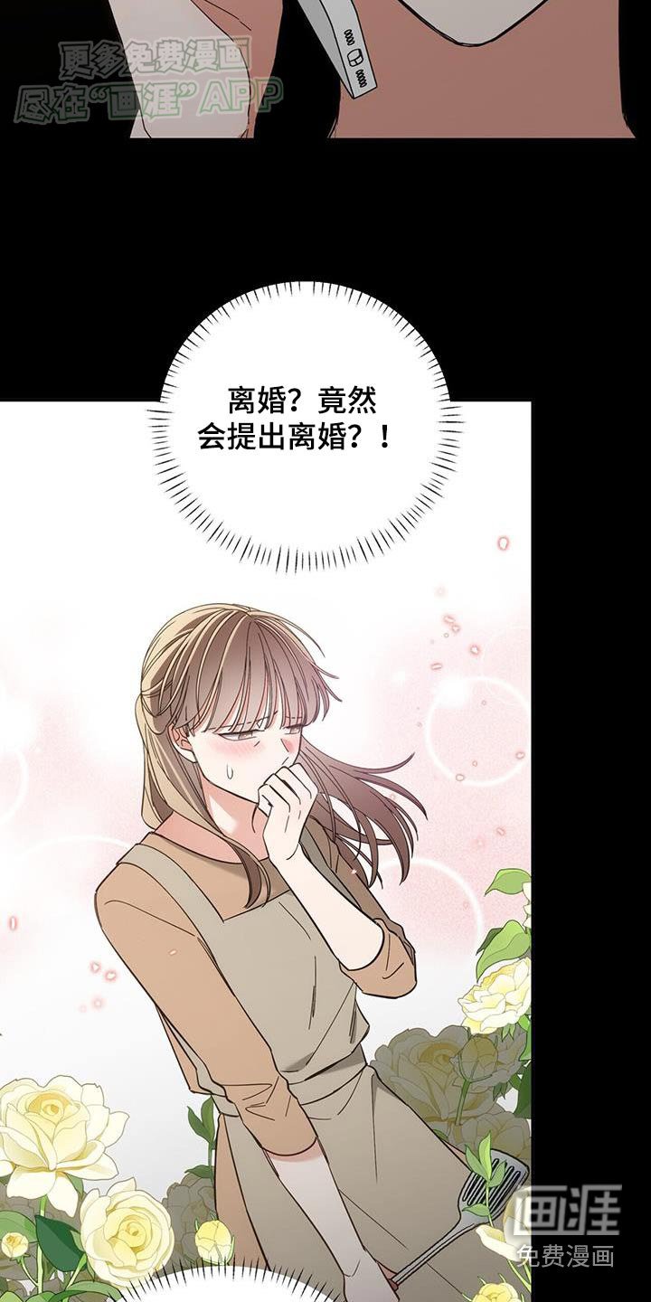 第25章：离婚了