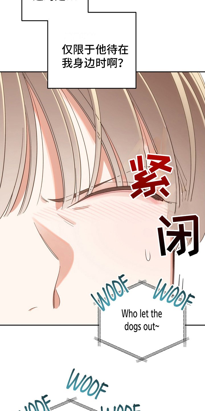 第5章：不必担心