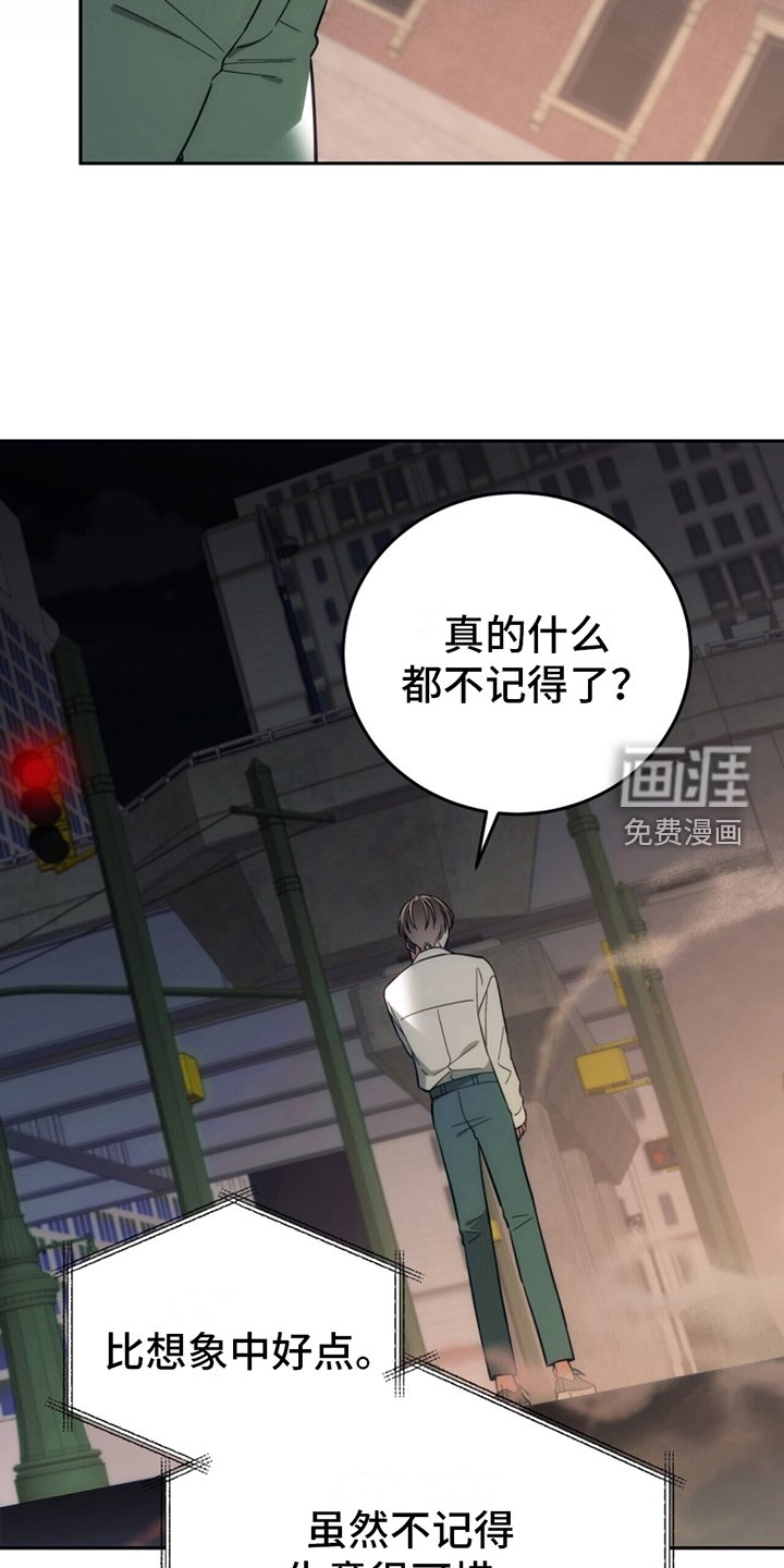 第7章：失忆症