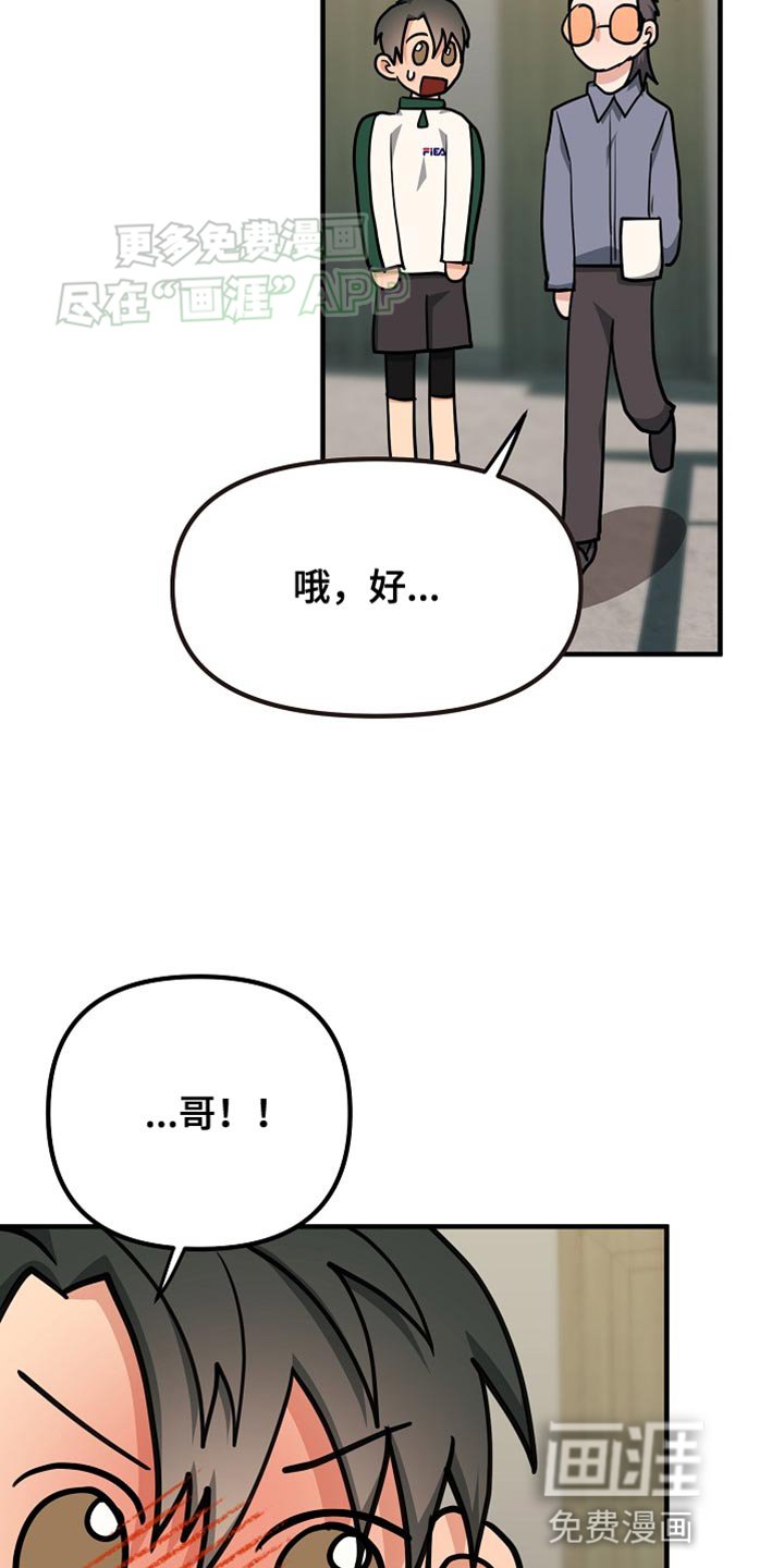 第20章：咨询