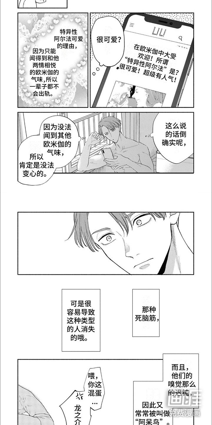 第14章：阿呆鸟（完结）