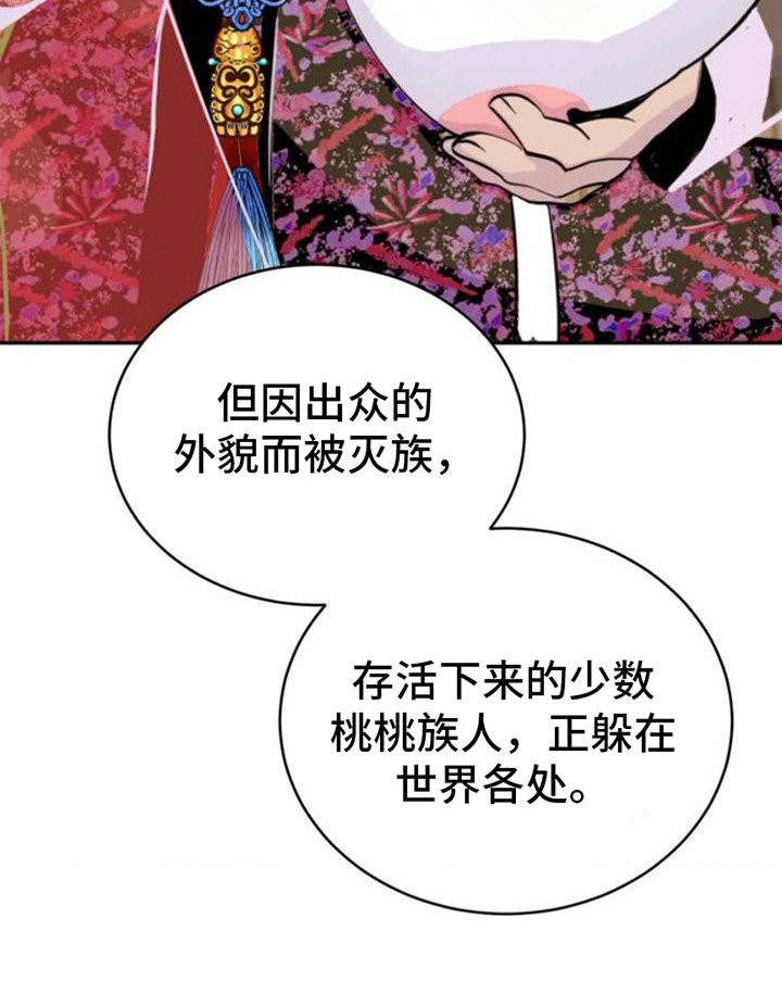 第2章：桃皿