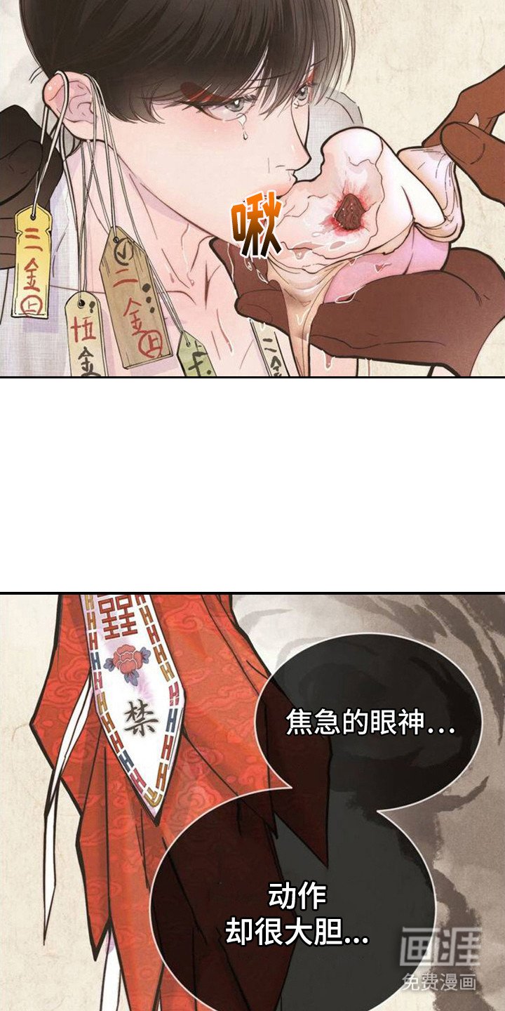 第3章：品鉴