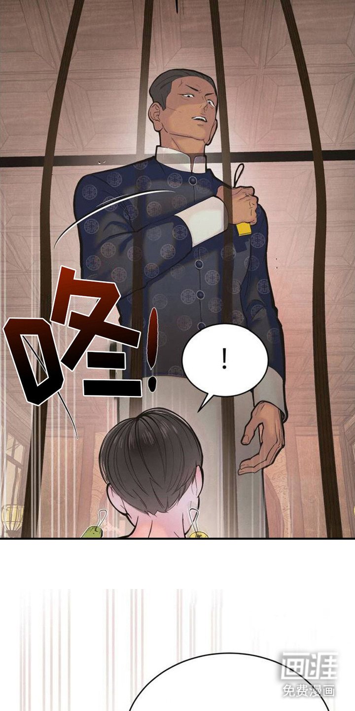 第3章：品鉴