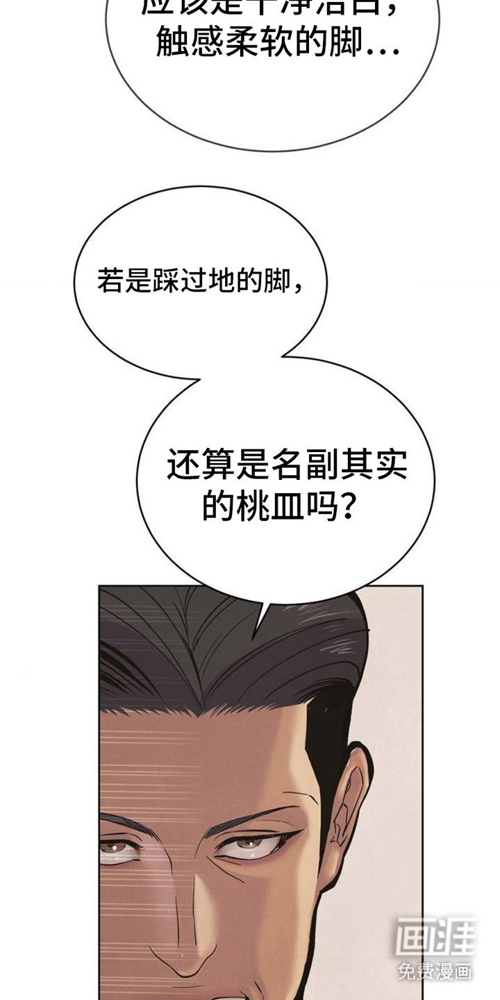 第3章：品鉴
