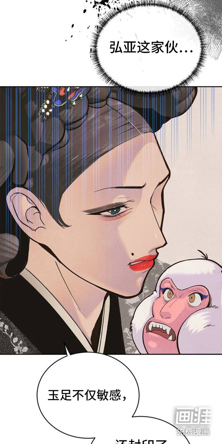 第3章：品鉴