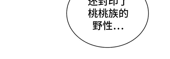第3章：品鉴