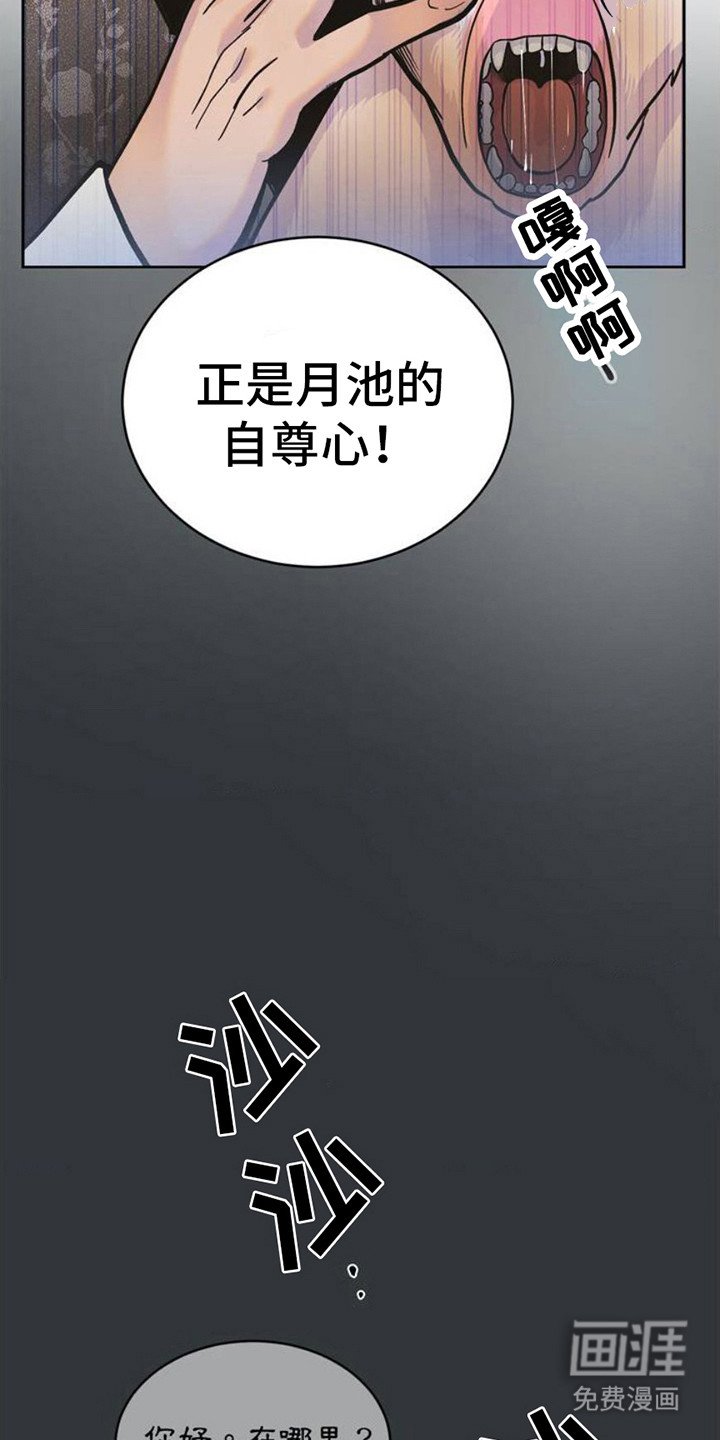 第4章：缺陷