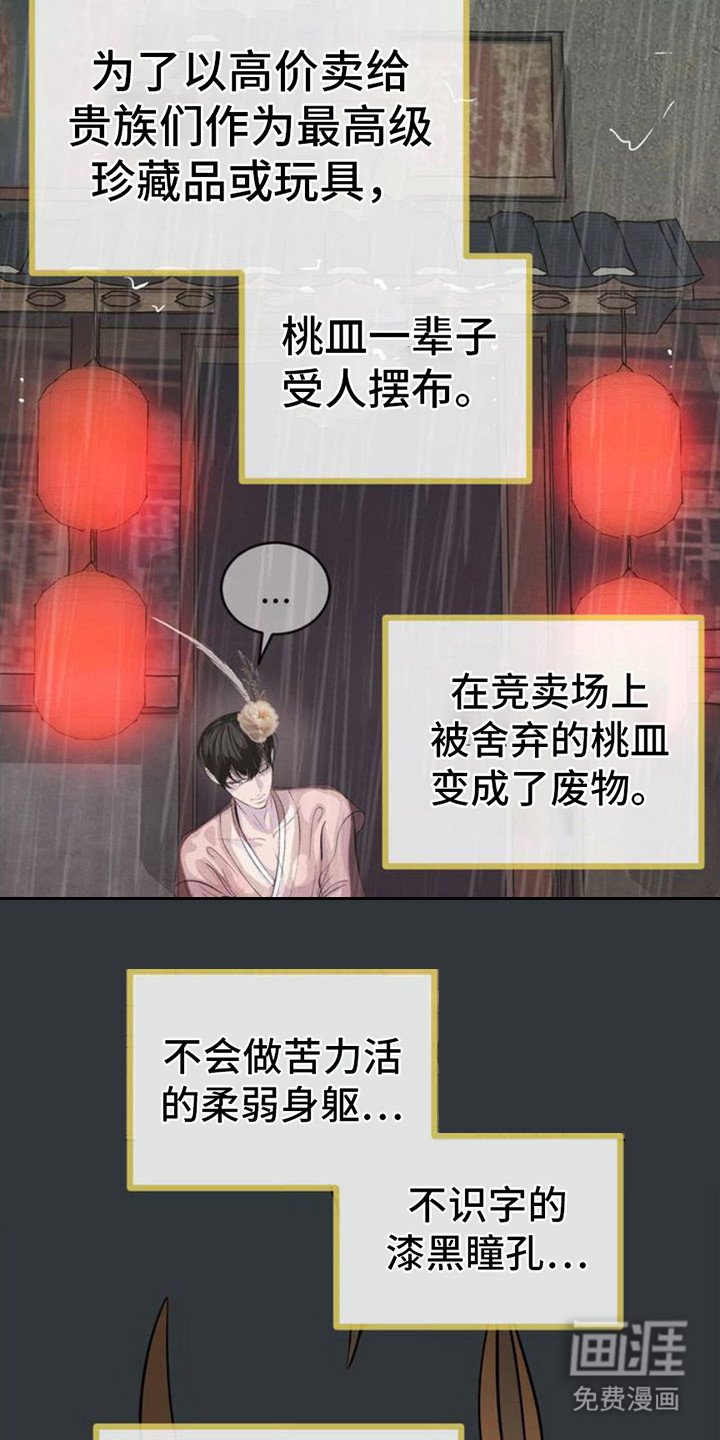 第4章：缺陷
