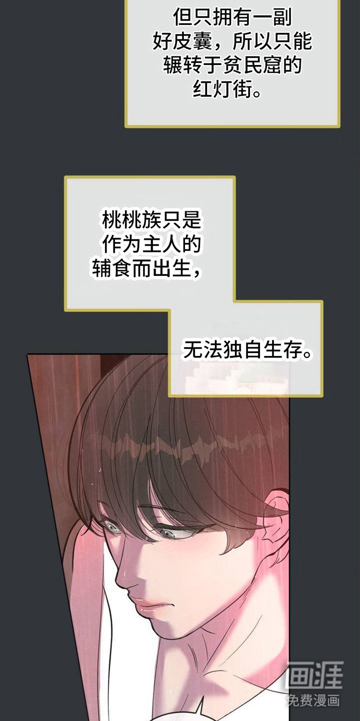 第4章：缺陷