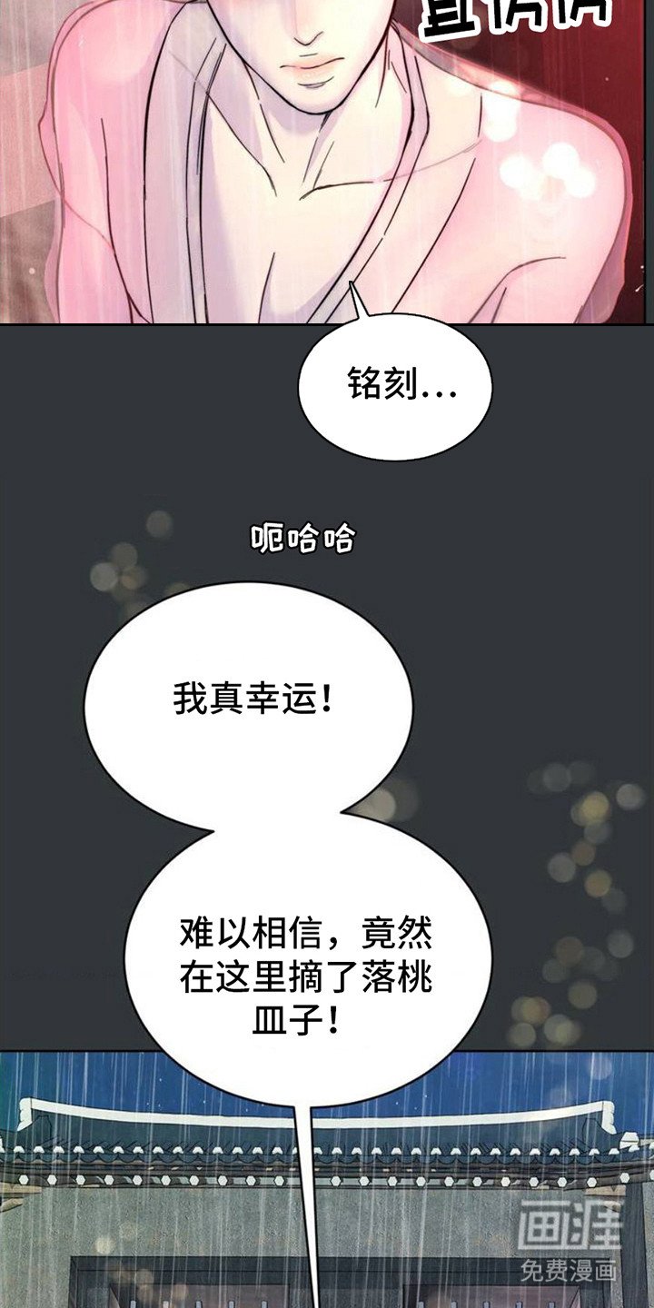 第4章：缺陷