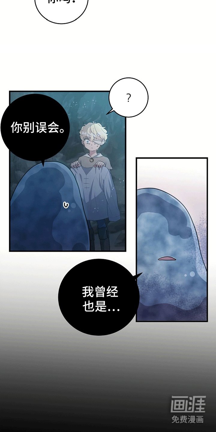 第11章：学习魔法