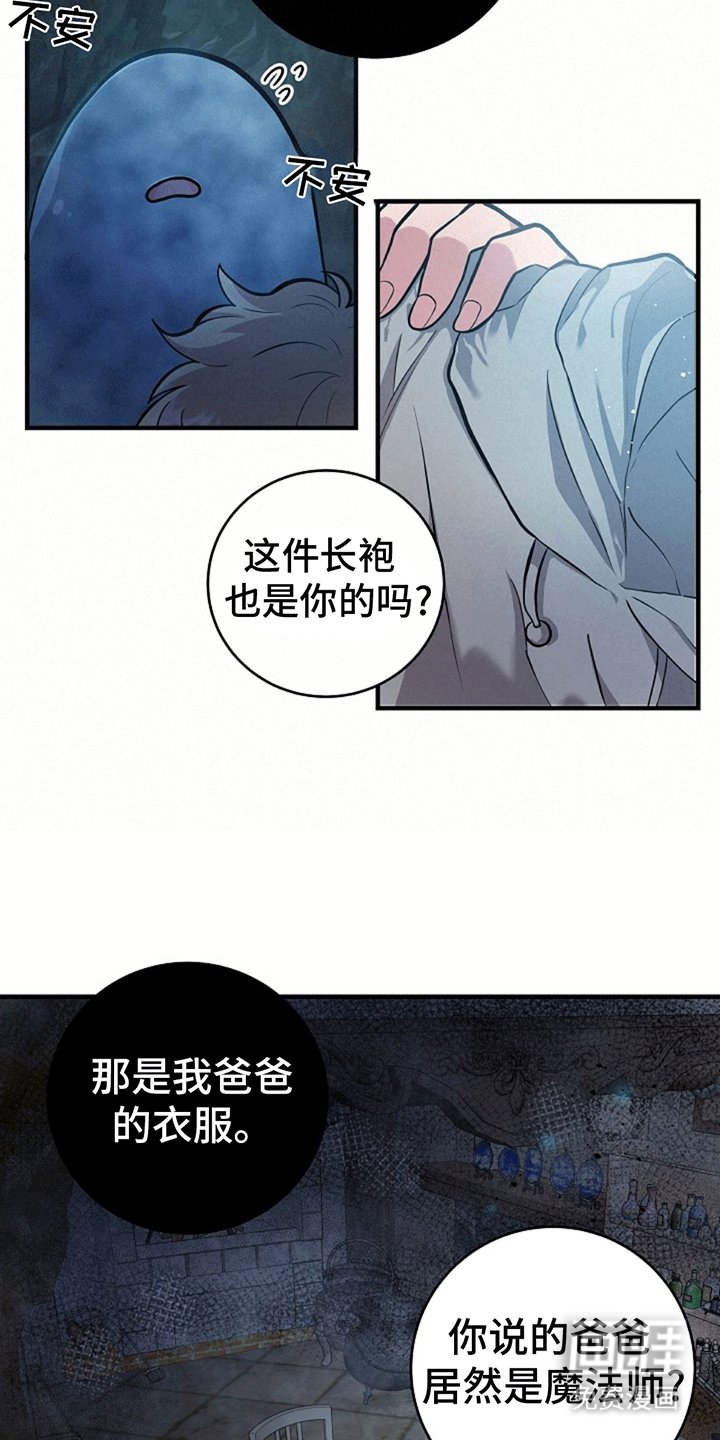第11章：学习魔法
