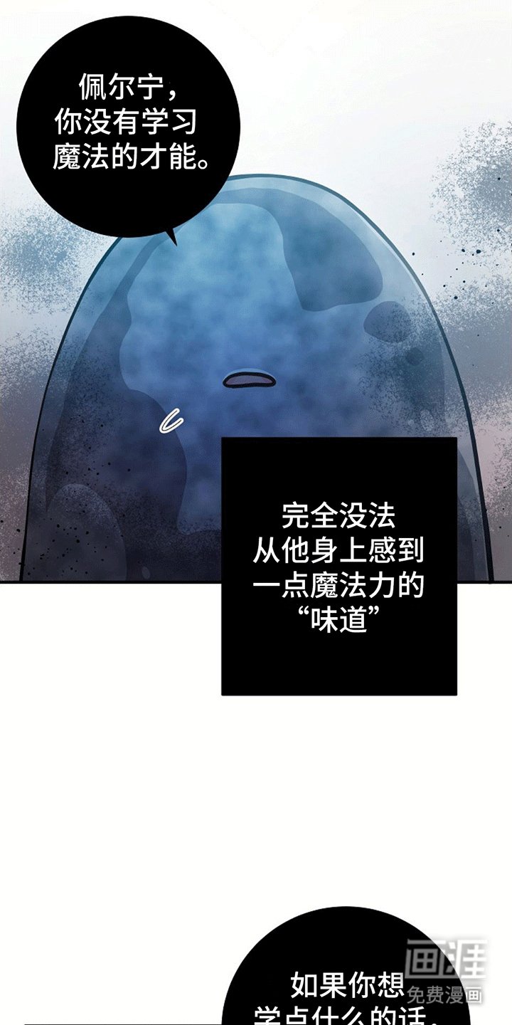 第11章：学习魔法